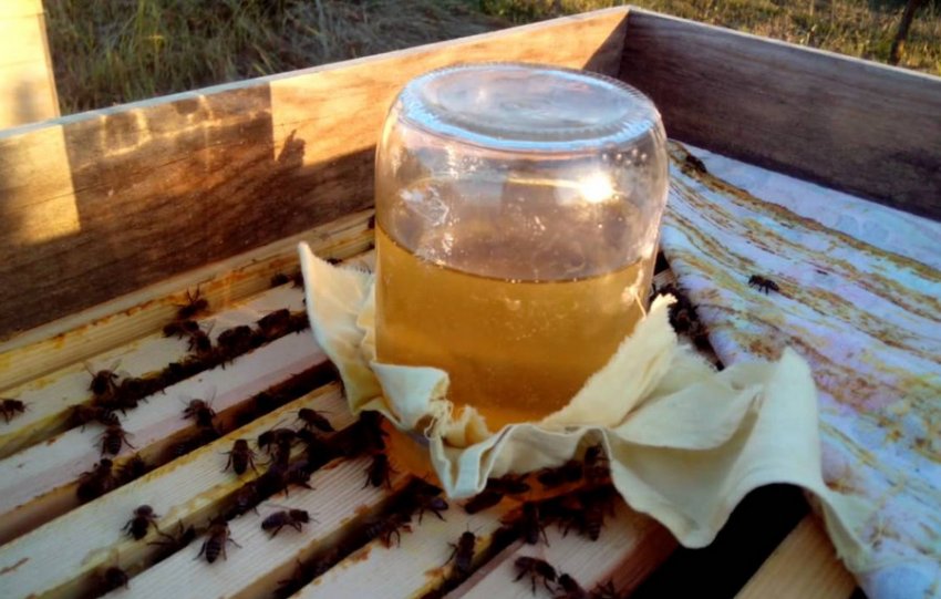 Підгодівля бджіл сиропом