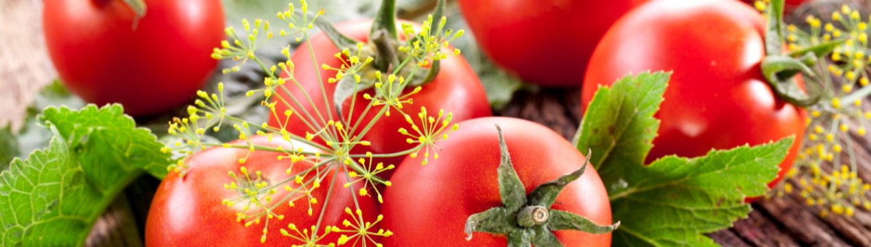 США введуть тарифи на мексиканські помідори