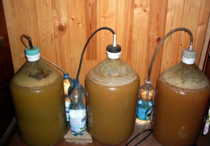 Бродіння яблучного соку Бродіння яблучного соку