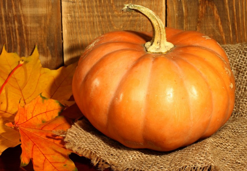 Фермер з Хмельницької області виробляє дороге масло з дешевих овочів