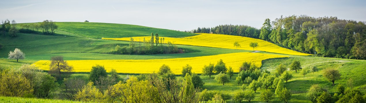 Травень обіцяє не дивувати російських аграріїв