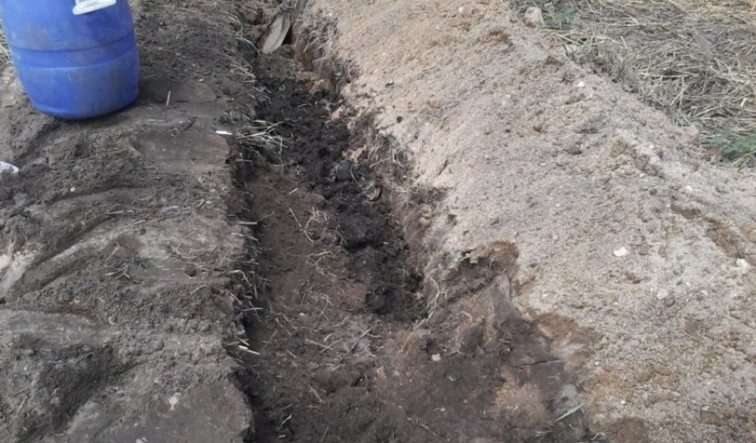 Траншея для арбузов