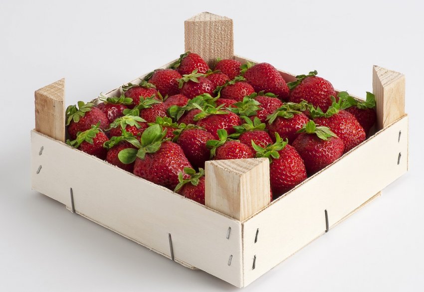 Зберігання полуниці