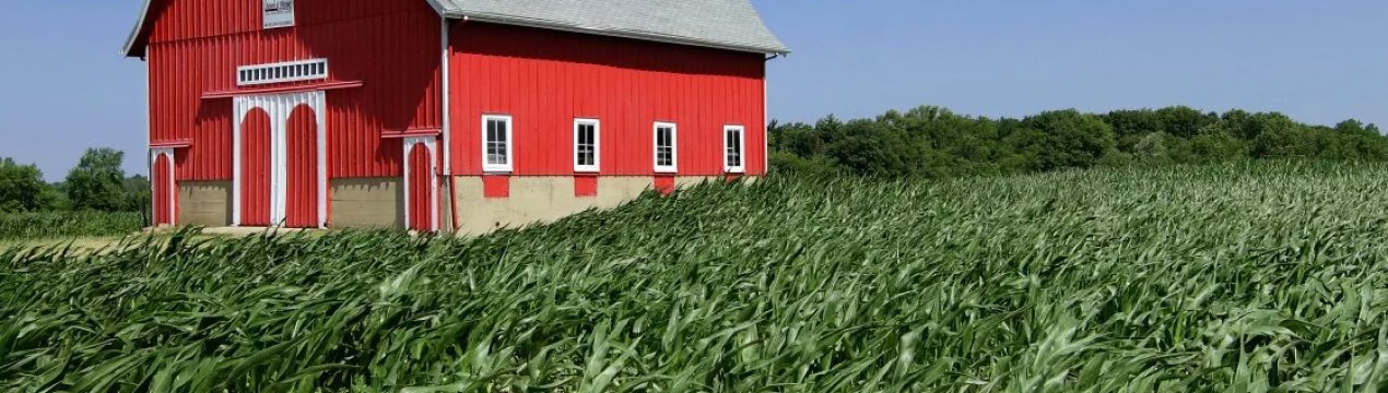 Фермерські господарства України можуть отримати фінансову підтримку, взявши участь у конкурсі