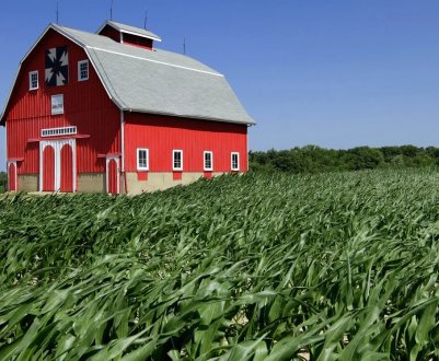 Фермерські господарства України можуть отримати фінансову підтримку, взявши участь у конкурсі