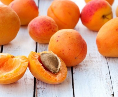 Опис основних відмінностей жерделы і абрикоса