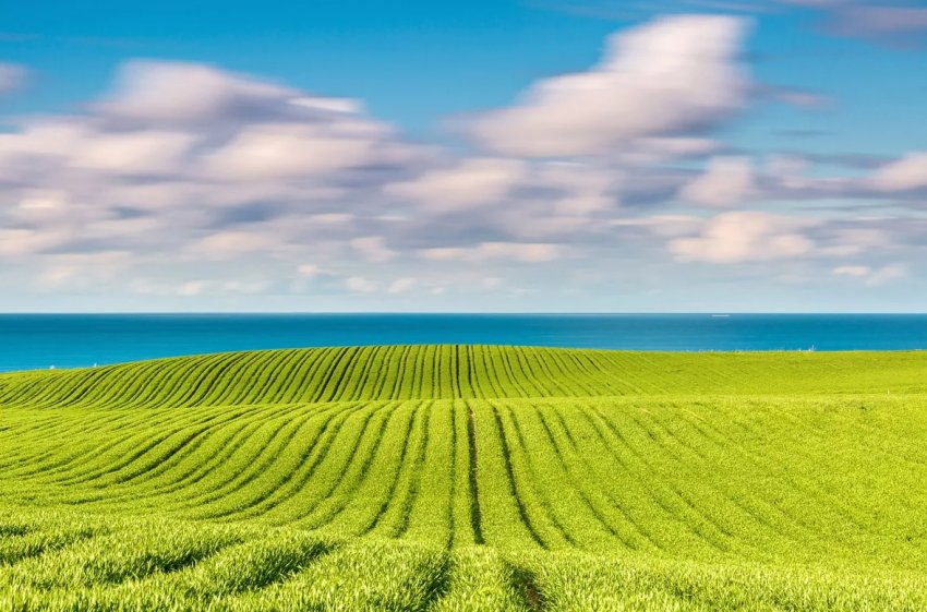 За 4 місяці українські аграрії отримали 128 млн гривень компенсації за придбану техніку