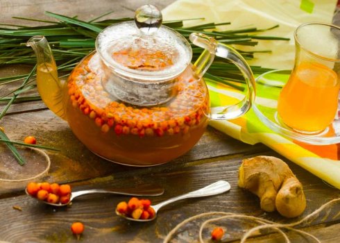 Користь і шкода чаю з імбиром і обліпихою