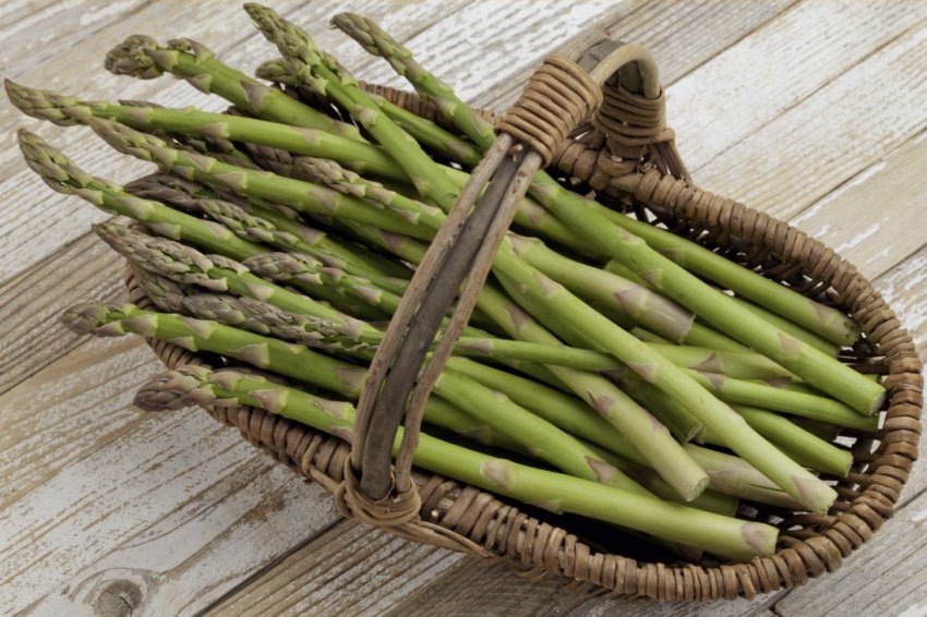 Спаржа