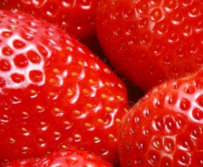 Сорти полуниці: від ранніх до ремонтантних, різного світлового дня