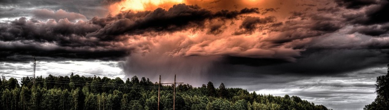 Аграрії Тернопільської області понесли мільйонні збитки від негоди