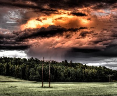 Аграрії Тернопільської області понесли мільйонні збитки від негоди