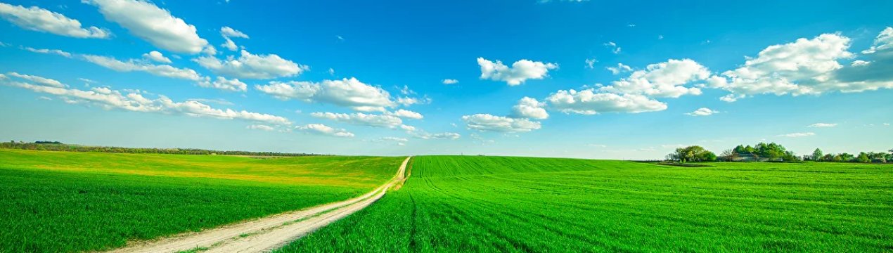 Міністерство юстиції назвало 3 найбільш привабливі галузі для рейдерських атак