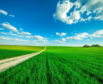 Міністерство юстиції назвало 3 найбільш привабливі галузі для рейдерських атак