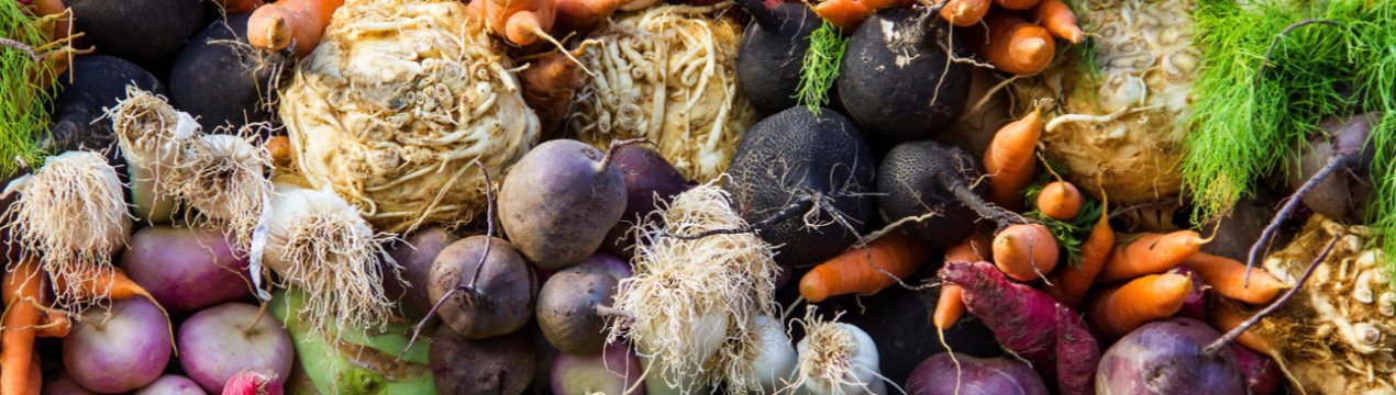 Виробництво сільськогосподарської продукції в Україні може зменшитися