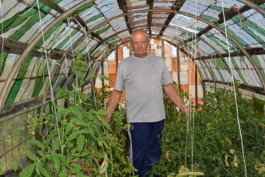 Парник з пляшкових пластин Парник з пляшкових пластин