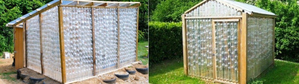 Парник з пластикових пляшок