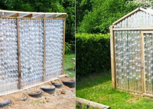 Парник з пластикових пляшок