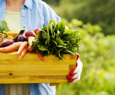 Російські фермери не хочуть співпрацювати з супермаркетами й активно виходять в онлайн-торгівлю