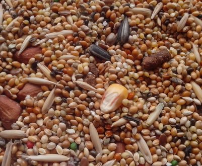 Cargill відкликає корми для тварин з-за проблем з токсином