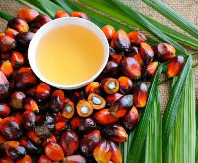 Ірландські виробники зерна проти пальмової олії і ГМО-кормових культур