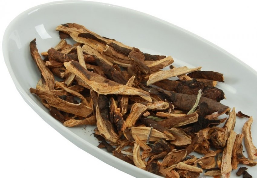 Корінь ревеню тангутського