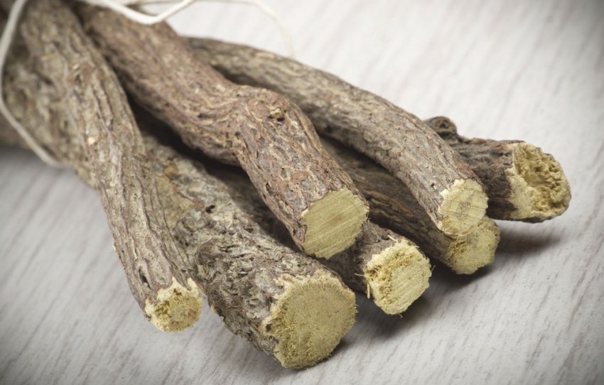 Корінь солодки