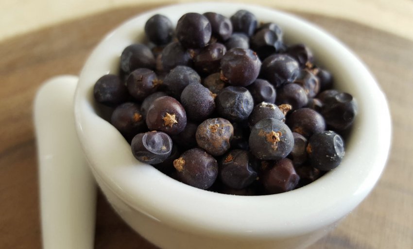 Ягоди ялівцю