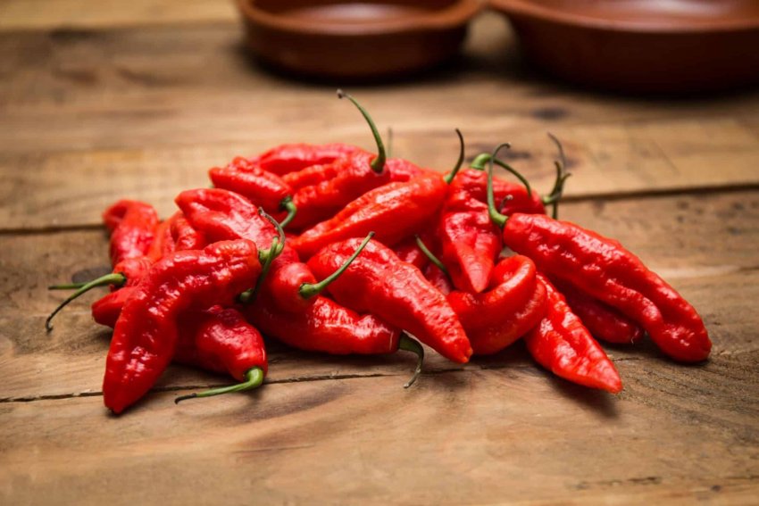 Червоний гострий перець
