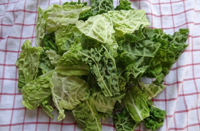 Савойська капуста