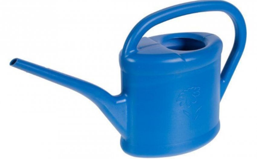 Лійка Лійка