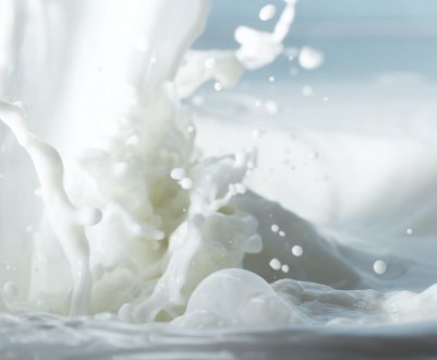 В Ірландії молочні комбінати б'ють на сполох-за рекордних поставок молока