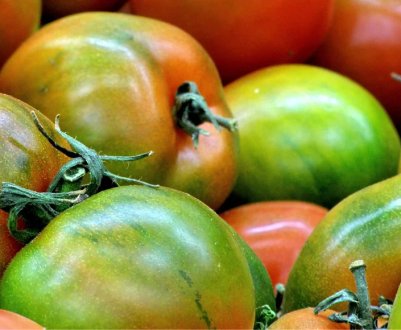 Як замаринувати та заквасити бурі помідори