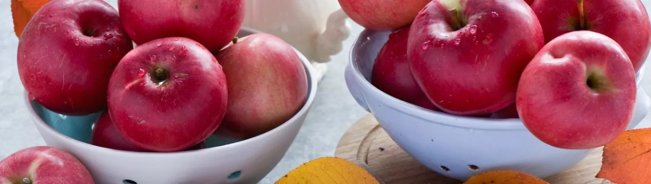 Яблуневі сади України постраждали від негоди