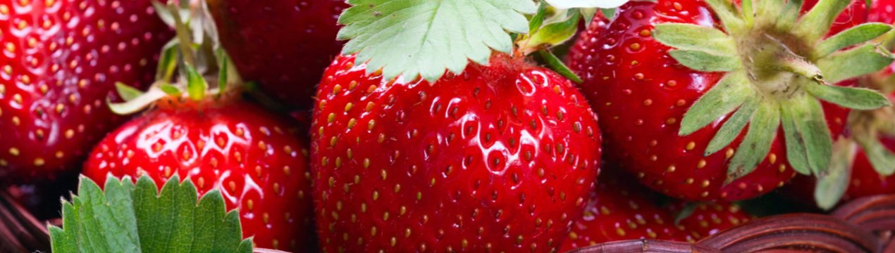 На ринок вийшла краснодарська рання полуниця