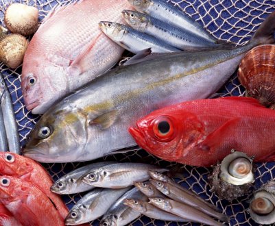 З початку року на приманку російських рибалок клюнули мільйони тонн риби