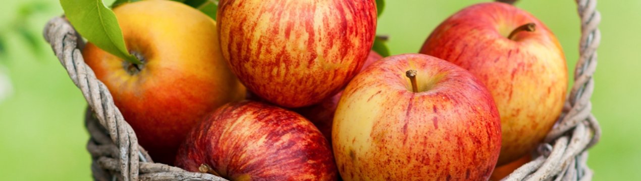 Україна зменшує експорт яблук і збільшує їх імпорт