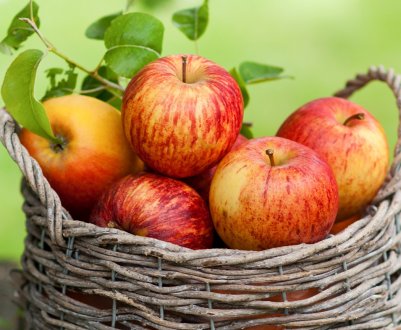 Україна зменшує експорт яблук і збільшує їх імпорт