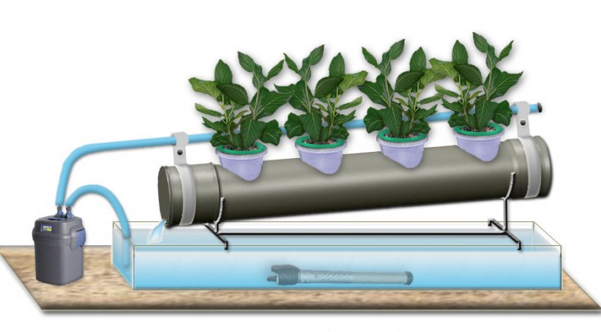 Полив за допомогою насоса