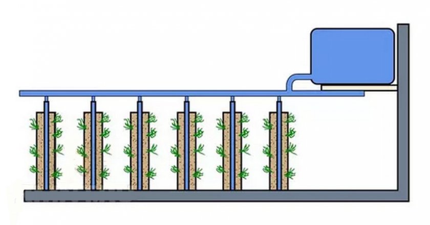 Как выращивать клубнику в трубах в домашних условиях?
