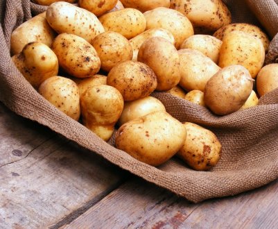 В Нідерландах і Бельгії виявлені підроблені сертифікати насіннєвої картоплі