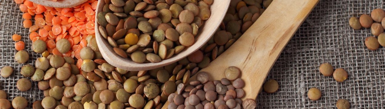 Скільки зберігається сочевиця