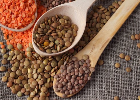 Скільки зберігається сочевиця