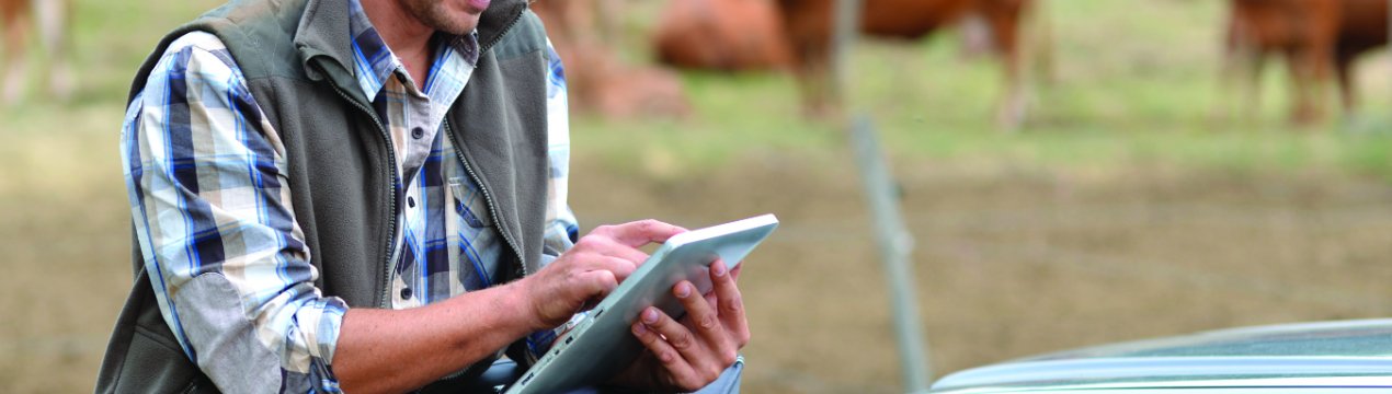 В Ірландії фермерські протести