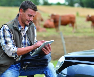 В Ірландії фермерські протести