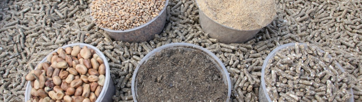 США виробник грануляторів жертвує 2,6 мільйона доларів на університетський проект по комбікормів