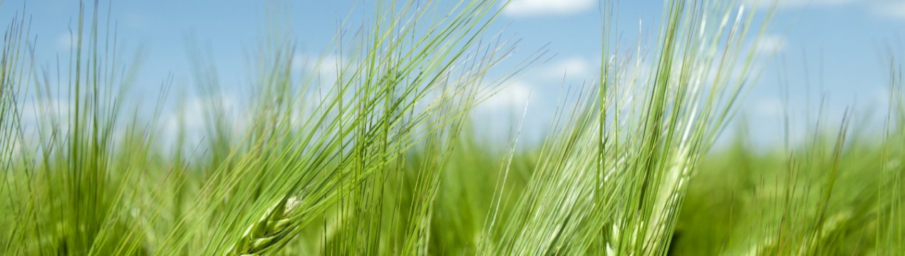 Волинська фітосанітарна лабораторія придбала нове обладнання і розширила виробництво ЗЗР