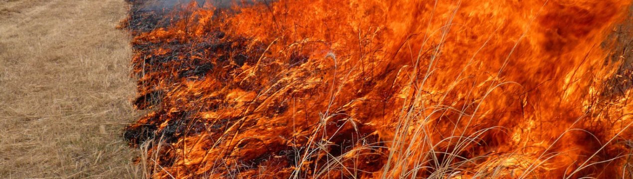 Алтайський фермер-«піроман» ледь не спалив ціле село