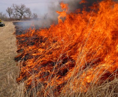 Алтайський фермер-«піроман» ледь не спалив ціле село 