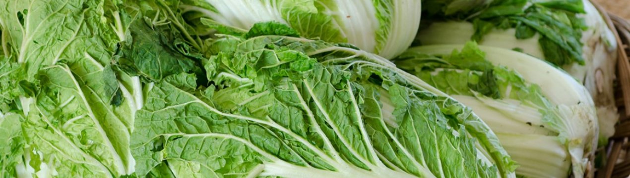 Як квасити пекінську капусту на зиму?